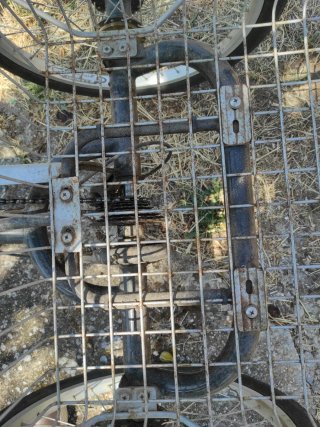 Triciclo Monty para adulto