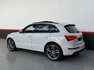 AUDI SQ5 COMPETITION / FULL EXTRAS / PEGATINA C