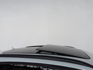 AUDI SQ5 COMPETITION / FULL EXTRAS / PEGATINA C