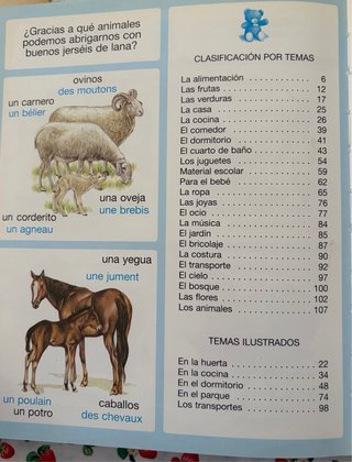 Libro Diccionario por imágenes español - francés
