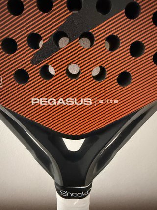 Pala Padel Siux Pegasus Elite 2026