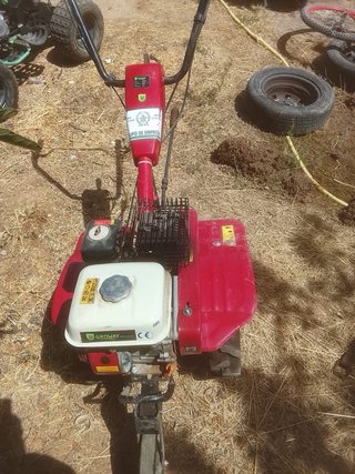Mulilla de arado roja