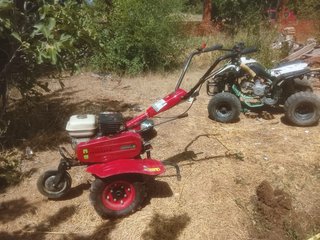 Mulilla de arado roja