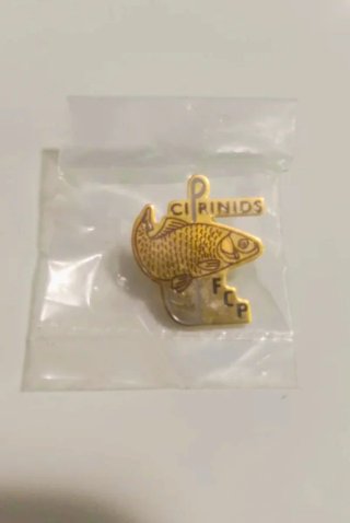 ✅ PESCA PIN CIPRINIDOS DE LA FEDERACIÓN CATALANA‼️