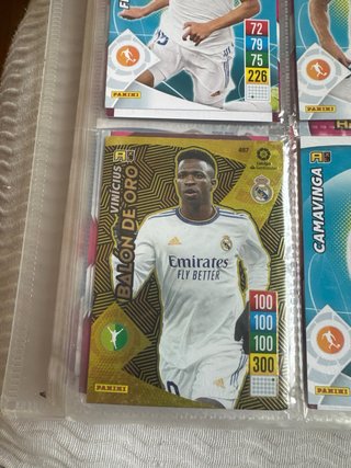 Album panini