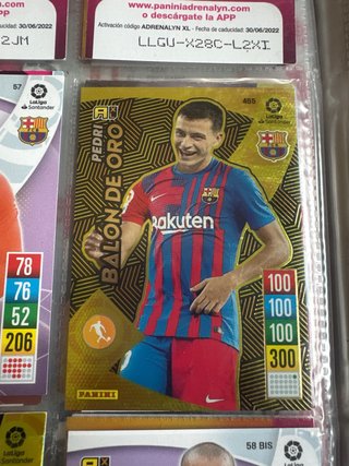 Album panini