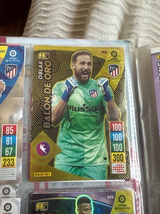 Album panini