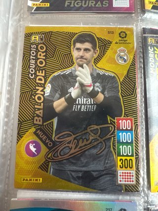 Album panini