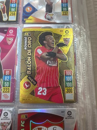 Album panini