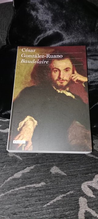 Libro Baudelaire