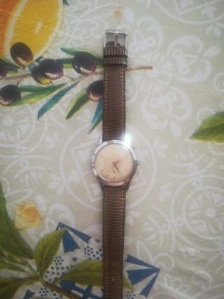 Orologio Vetta 210 17 Rubis Swiss Made