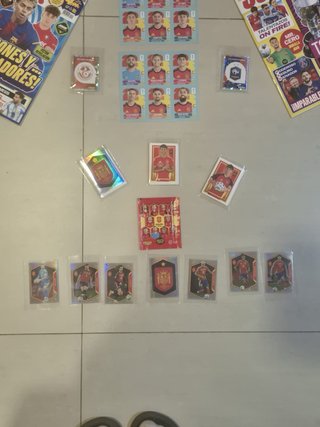 Colección PANINI Mundial FIFA