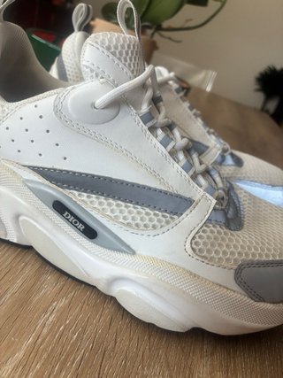 Dior B22