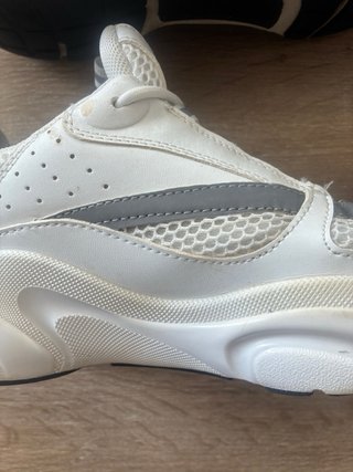 Dior B22
