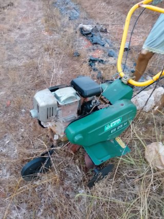 Motoazada Honda con piñón roto