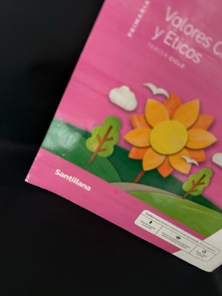 Valores cívicos y éticos Tercer ciclo primaria *