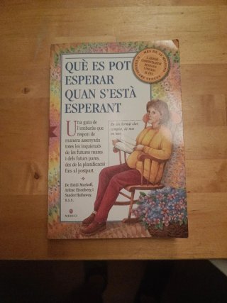 Libro Què es pot esperar quan s'està esperant