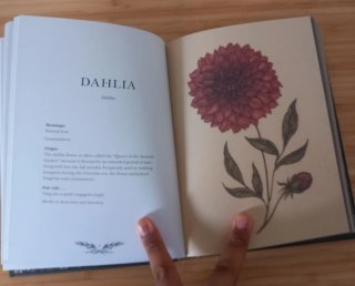 Floriography An Illustrated Guide to the Victor...