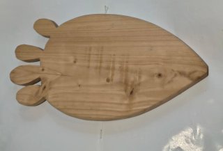 Ficodindia in legno