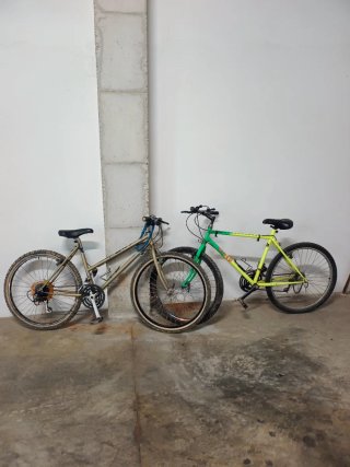 Bicicleta Montaña