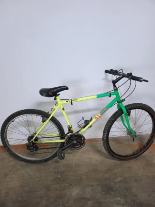 Bicicleta Montaña