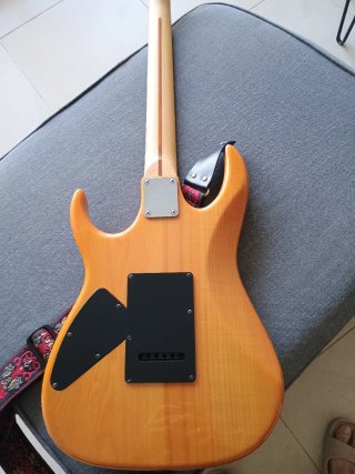 Guitarra eléctrica Ibanez RX170D