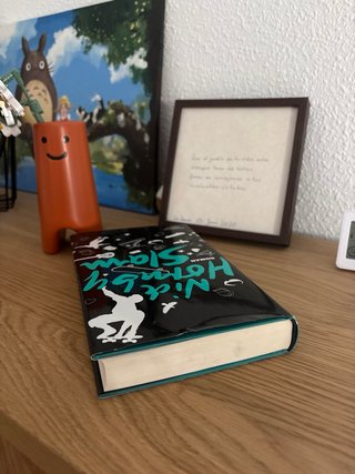 Libro Slam by Nick Hornby en aleman