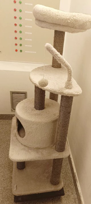 Rascador Multinivel GATOS