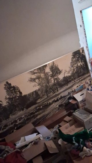 Lotes Antigüedades