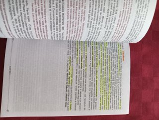 N.2 libri Letteratura italiana, Storia.