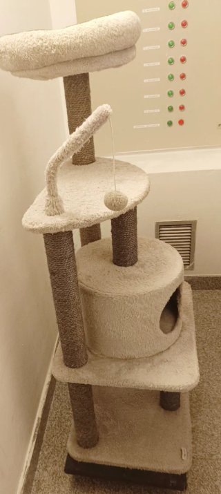 Rascador para Gatos Multinivel