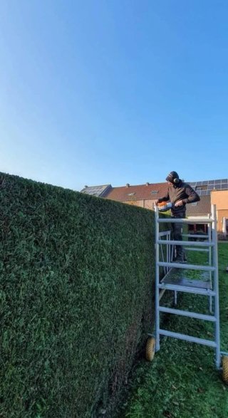 Césped artificial y servicio de jardinería