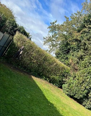 Césped artificial y servicio de jardinería