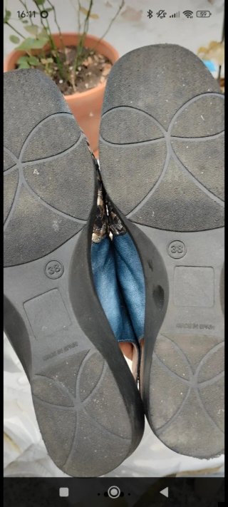 Zapatos Bona Moda Piel Mujer Talla 38