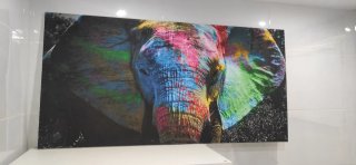 Cuadro cuadro elefante salón