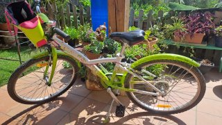 Bicicleta Niña 8-9 Años