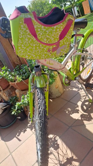 Bicicleta Niña 8-9 Años