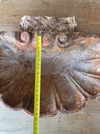 Acquasantiera in  marmo  scultura a forma di conch
