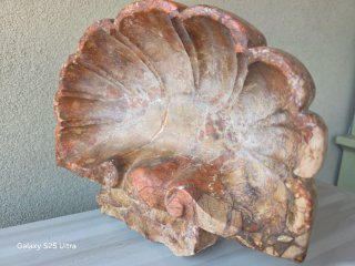 Acquasantiera in  marmo  scultura a forma di conch
