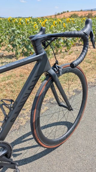 Canyon Ultimate CF SL 8.0