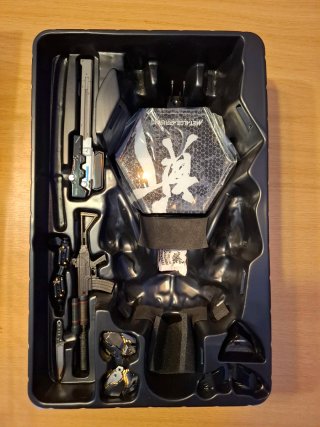 Figura Hot Toys Raiden