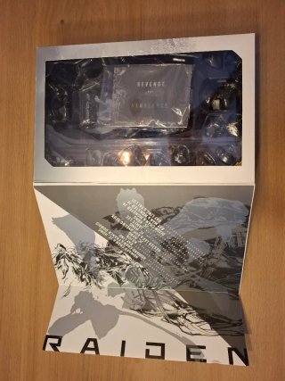 Figura Hot Toys Raiden