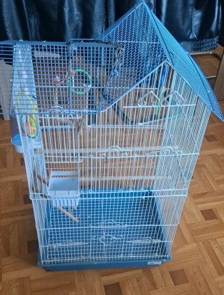 Jaula grande para pájaros
