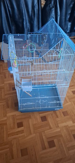 Jaula grande para pájaros