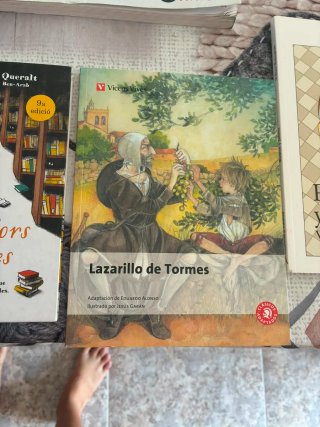 Libros de 1 de la eso y de lectura