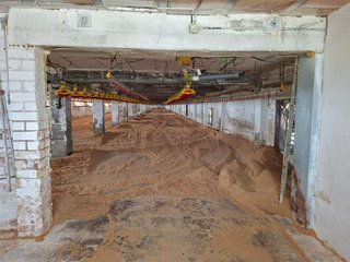 Granja avícola intensiva en Tarragona