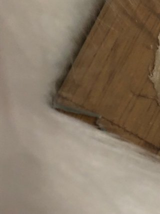 Papiro Egipcio Antiguo
