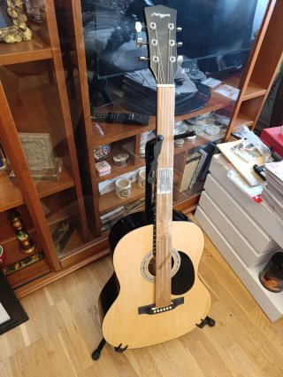 Guitarra Electroacústica