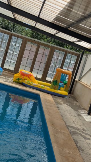 Piscina hinchable dinosaurios niños