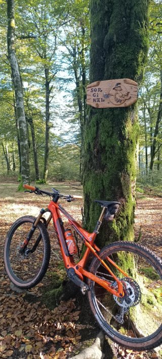 Bicicleta MTB Eléctrica ktm macina scarp se exonic